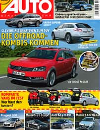 asv 01/2010