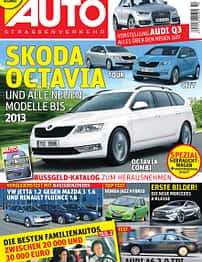 asv 01/2010