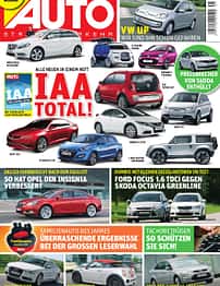 asv 01/2010