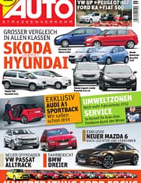 asv 01/2010