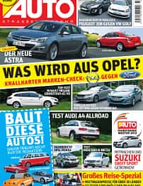 asv 01/2010
