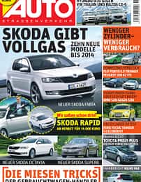 asv 01/2010
