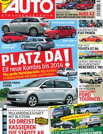 asv 01/2010