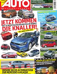 asv 01/2010