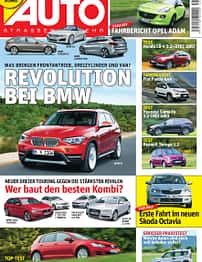asv 01/2010