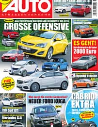 asv 01/2010