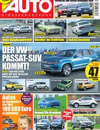 asv 01/2010