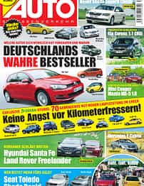 asv 01/2010