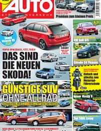 asv 01/2010