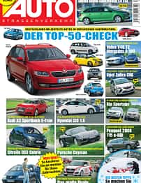 asv 01/2010