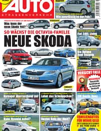 asv 01/2010