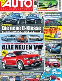 asv 01/2010