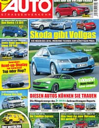 asv 01/2010