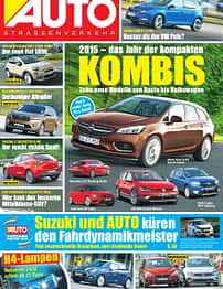 asv 01/2010
