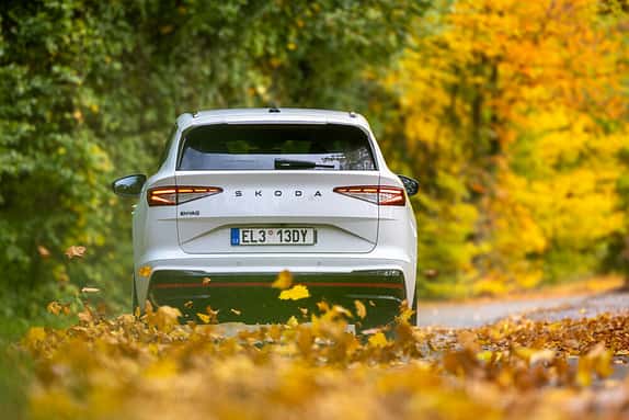 Heckansicht eines weißen Skoda Enyaq RS 79 kWh auf einer herbstlichen Straße, umgeben von buntem Laub.
