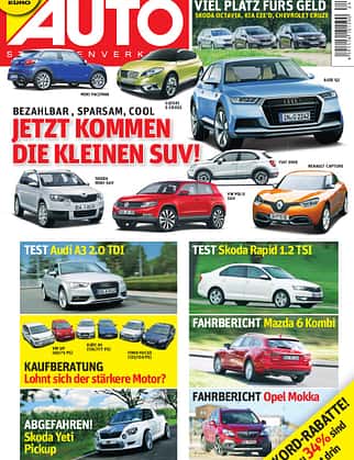 asv 01/2010
