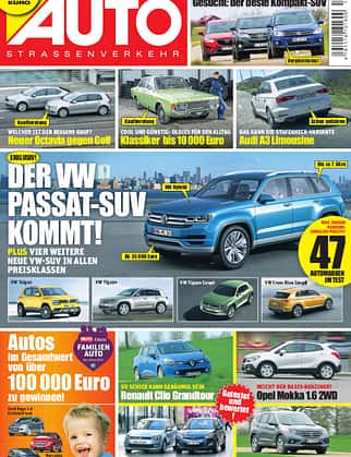 asv 01/2010