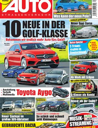asv 01/2010