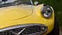 Daimler SP 250, Kühlergrill