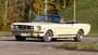 Ford Mustang GT V8 Cabrio, Frontansicht