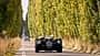 Gran Premio Nuvolari, Allee