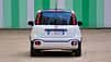 Fiat Panda / Pandina Praesentation 02/24