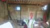 VW T1 Barndoor (1950) Scheunenfund