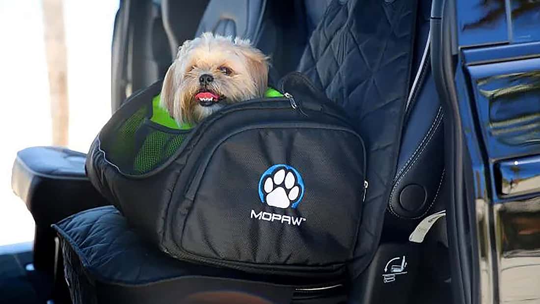 Mopar bringt Hundelinie Mopaw: Tuning-Zubehör für Waldi & Co