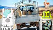 Alpaca-Zubehör fürs Auto