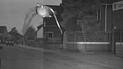 Taube Bocholt Raser Blitzer