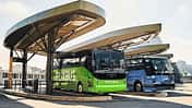 Flixbus Greyhound