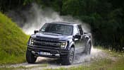 F-150 Raptor, HŸgel, Gras, Staub
