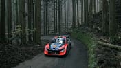 Thierry Neuville - Hyundai - WRC - Rallye