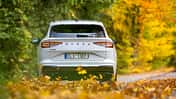 Heckansicht eines weißen Skoda Enyaq RS 79 kWh auf einer herbstlichen Straße, umgeben von buntem Laub.
