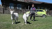 05/11 Mercedes F-Cell World Drive, B-Klasse, Brennstoffzelle, 57. Tag