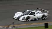 Ford Racing, Daytona, EcoBoost V6
