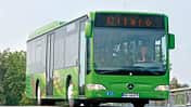 Omnibus