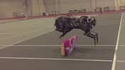 MIT Cheetah 2, Roboter, Gepard, Robotik