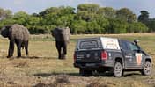 VW Amarok Botswana Okavangodelta