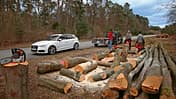 Waldgerade am Hockenheimring, Impression