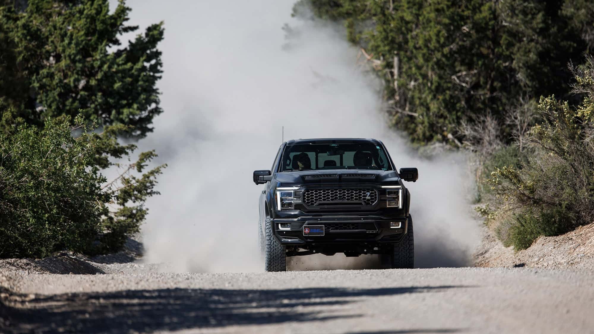 Plain Rapter Ford Raptor Shelby 2024 Nera Fahrzeugshop | Auto Nagel
